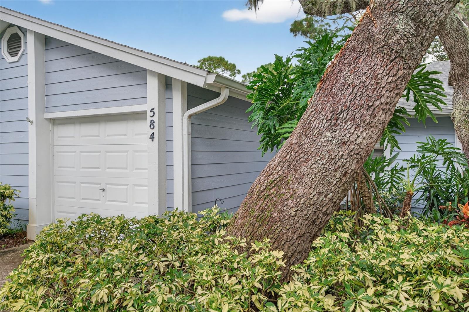 Image 48 of 67 For 39650 Us Highway 19 N 584