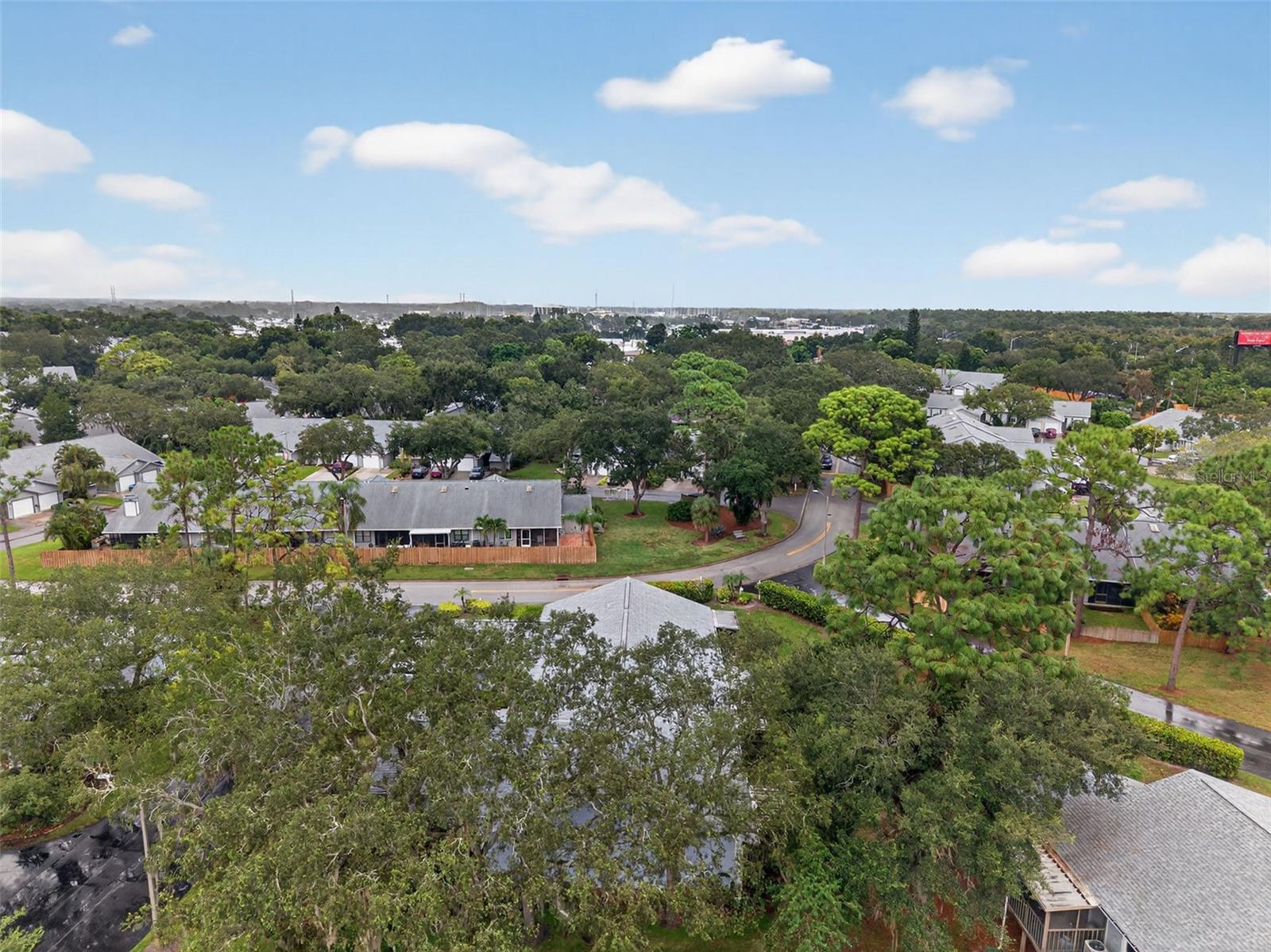 Image 55 of 67 For 39650 Us Highway 19 N 584