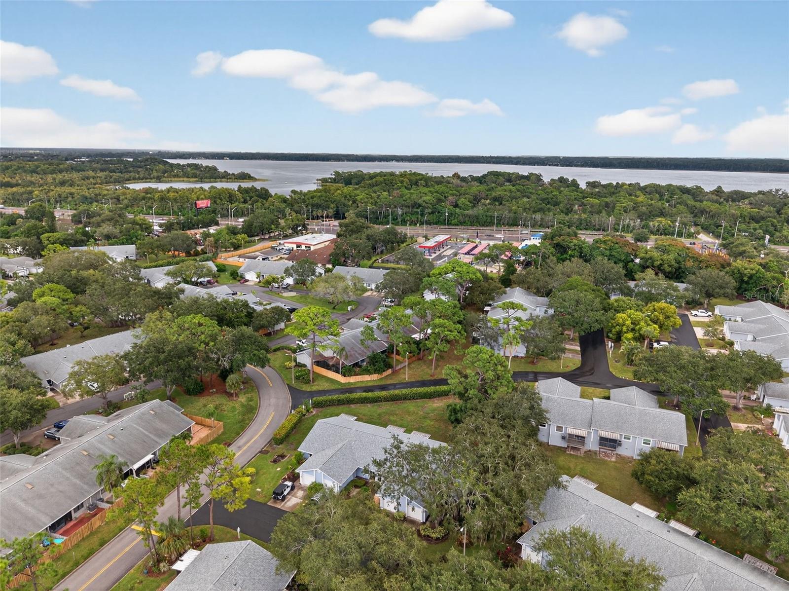 Image 66 of 67 For 39650 Us Highway 19 N 584