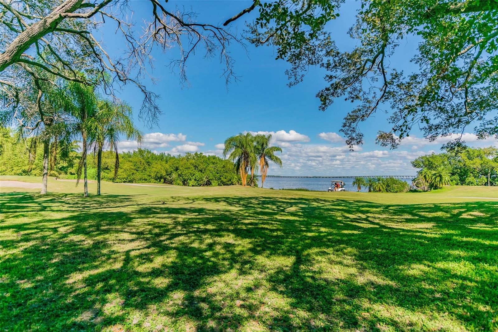 Image 82 of 91 For 2621 Cove Cay Drive 703