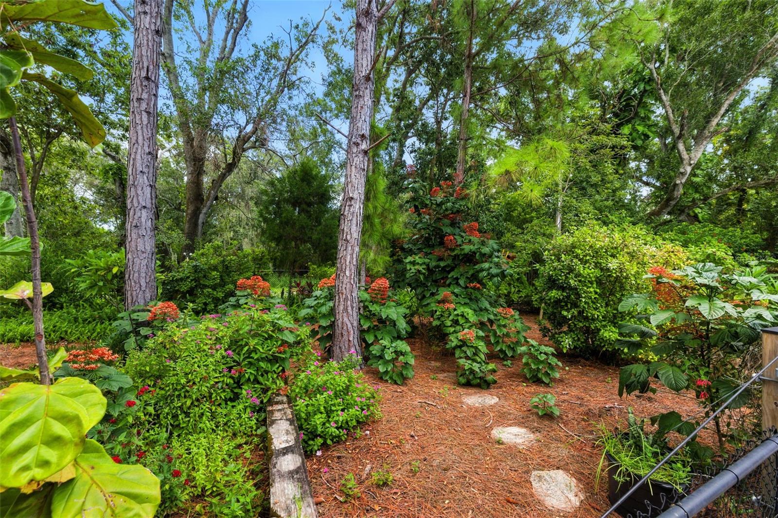 Image 17 of 25 For 1875 Harmony Drive