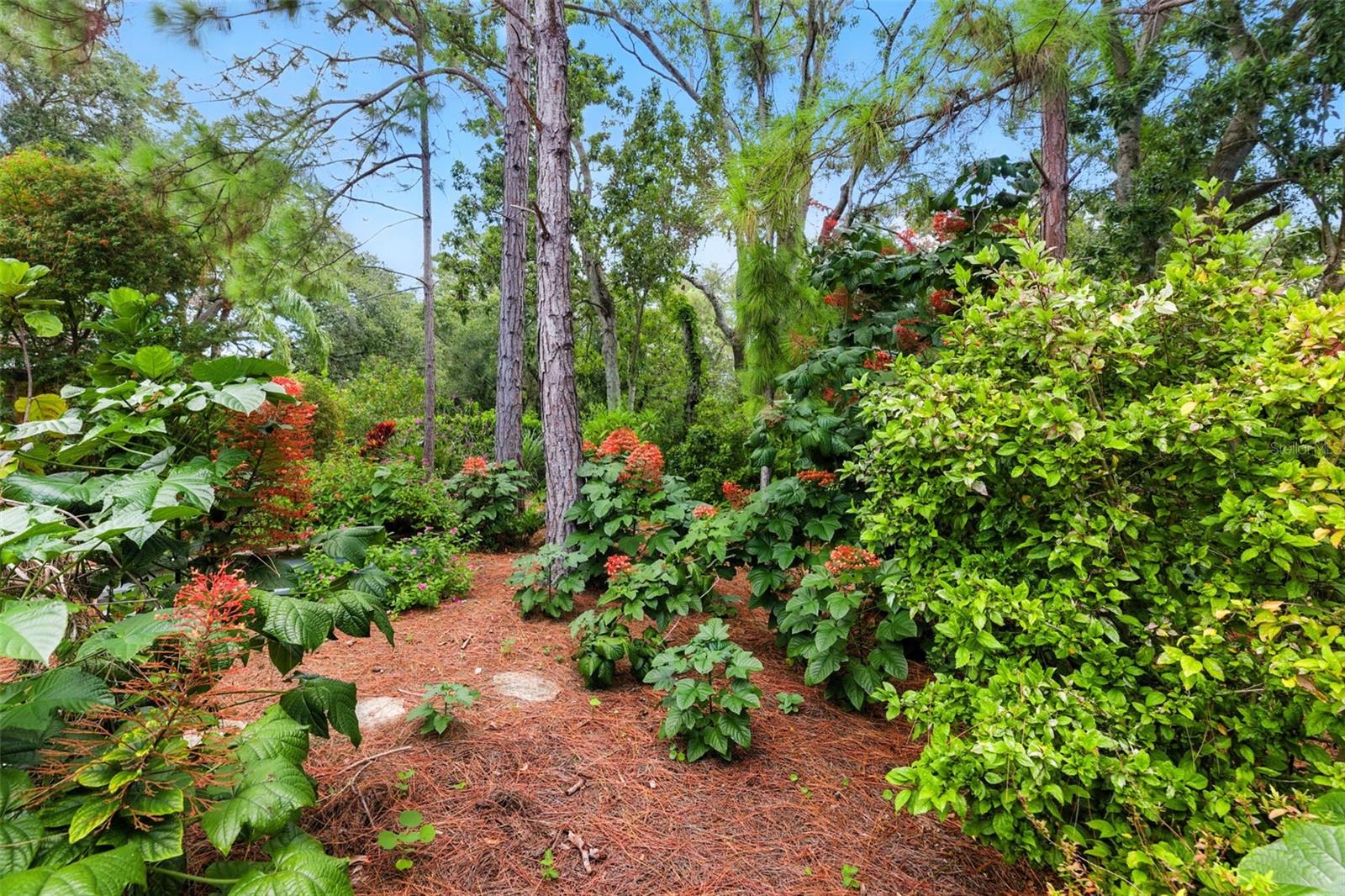 Image 20 of 25 For 1875 Harmony Drive