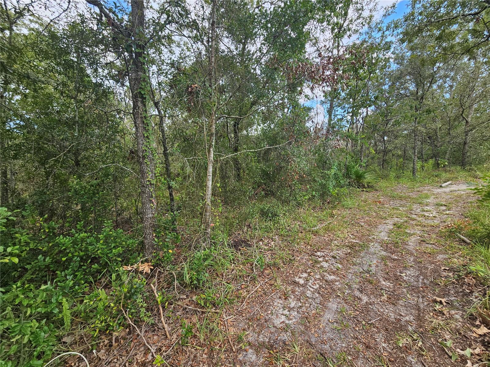Details for  Alford Lane , SPRING HILL, FL 34610