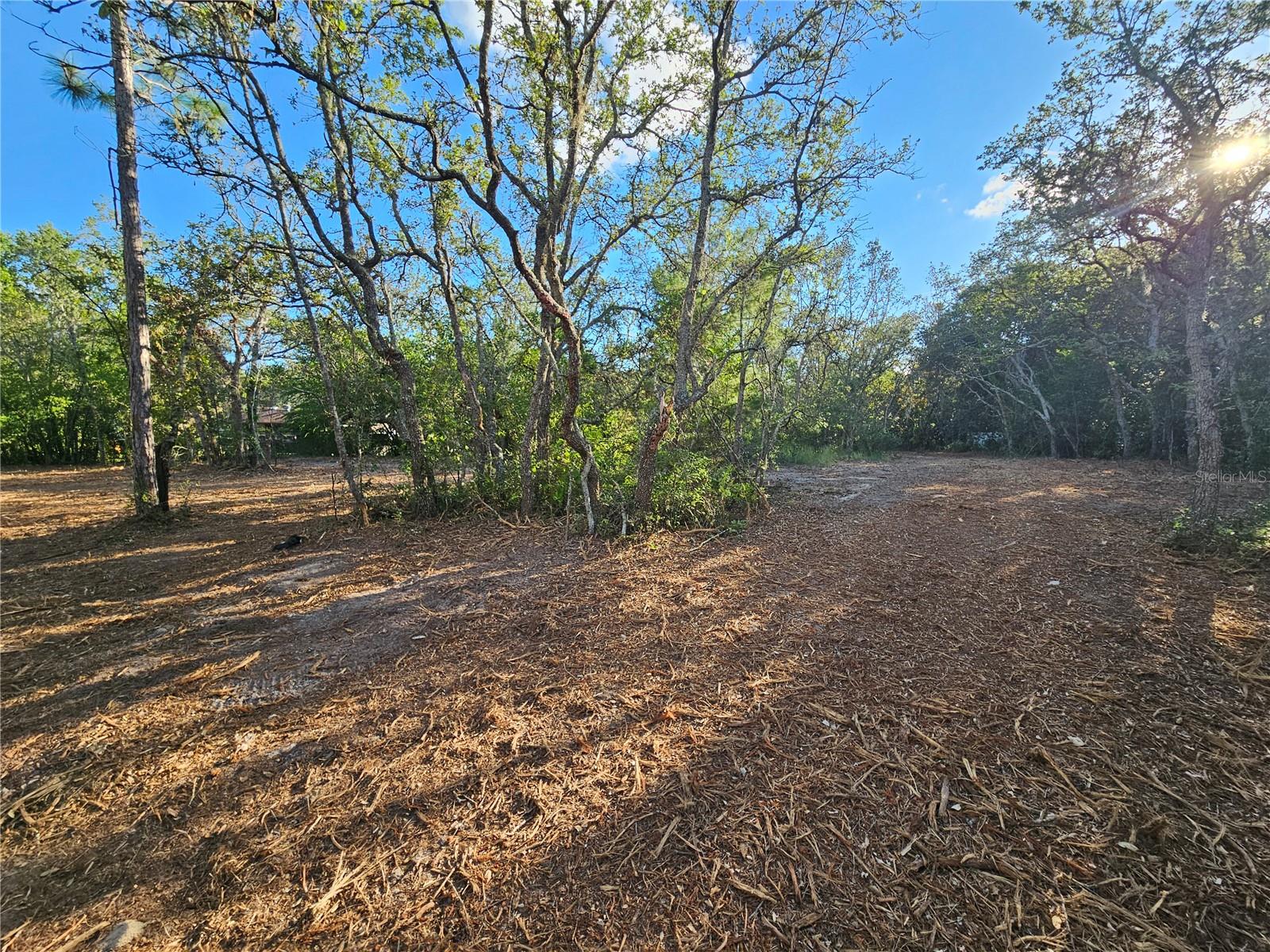 Image 10 of 21 For  Alford Lane 