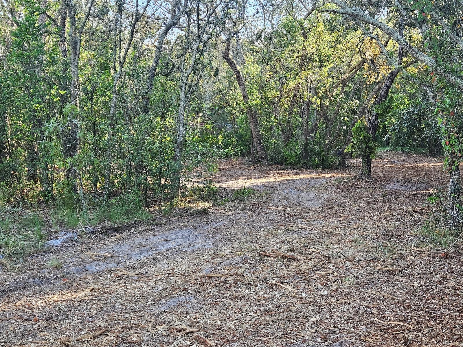 Image 11 of 21 For  Alford Lane 
