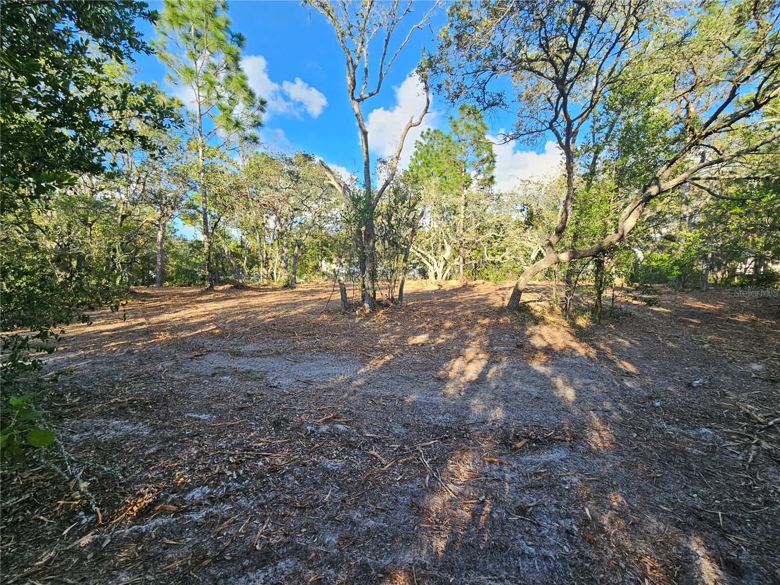 Image 12 of 21 For  Alford Lane 