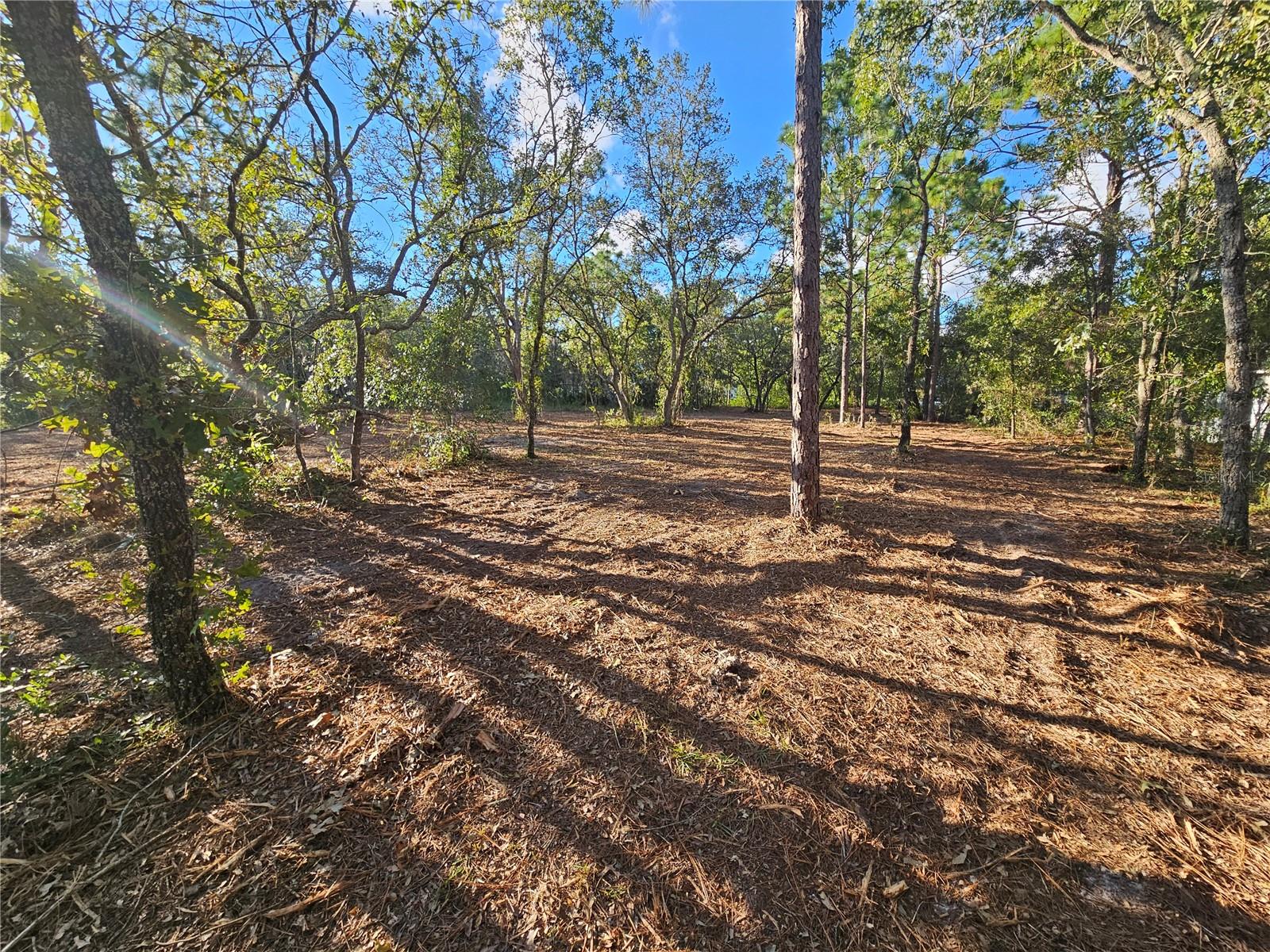 Image 14 of 21 For  Alford Lane 
