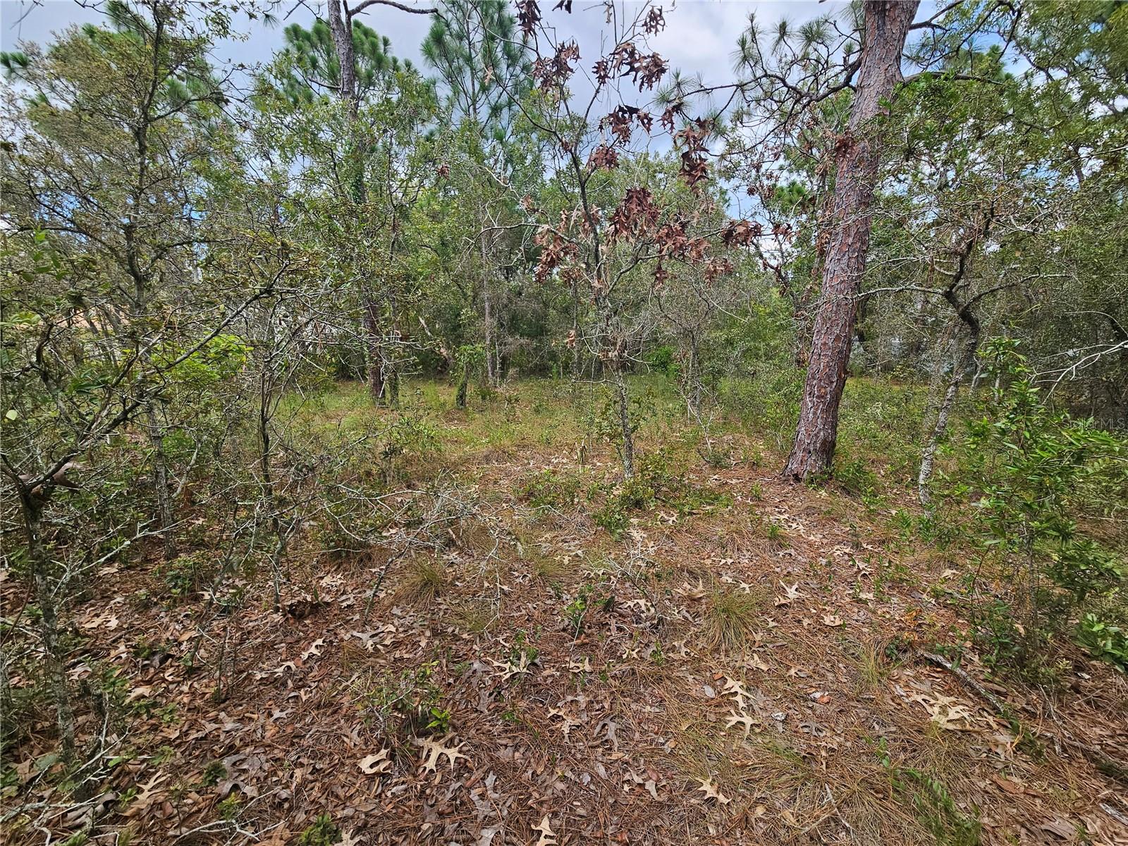 Image 3 of 6 For  Alford Lane 