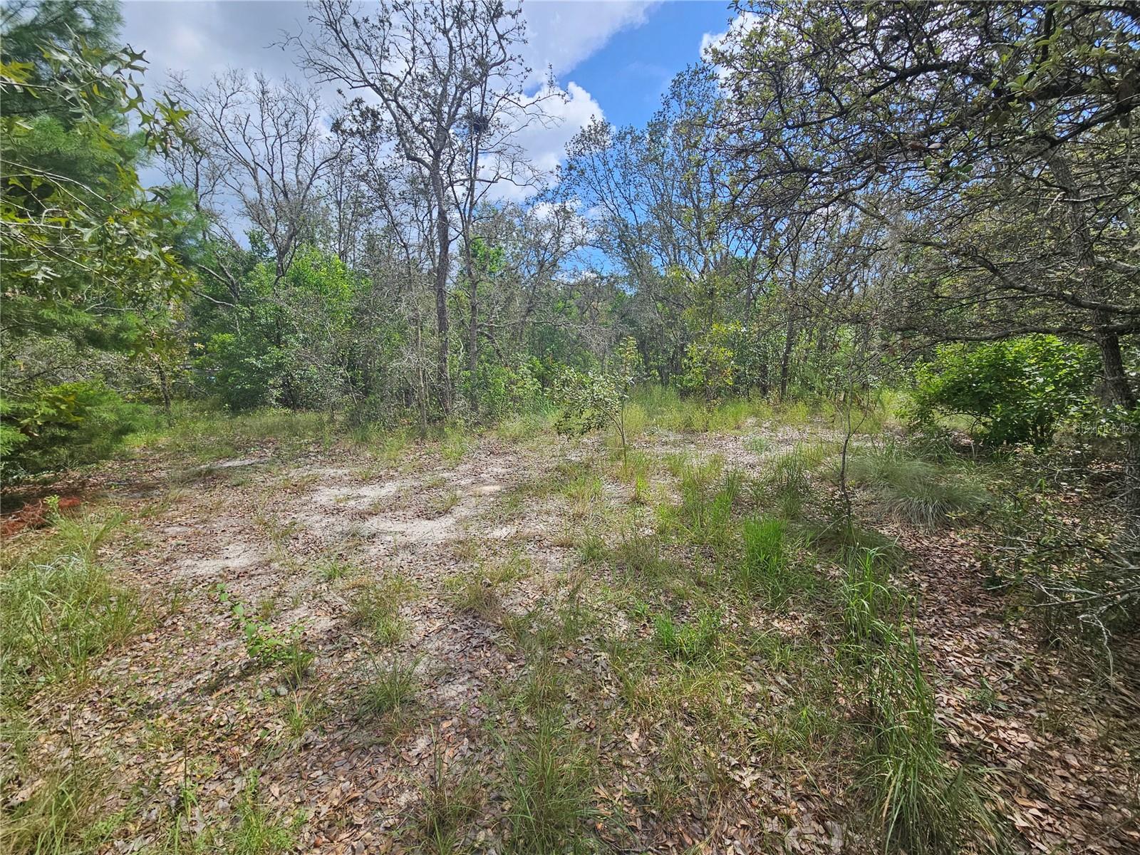 Image 4 of 6 For  Alford Lane 