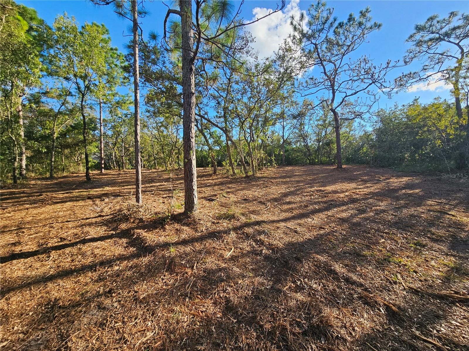 Image 8 of 21 For  Alford Lane 