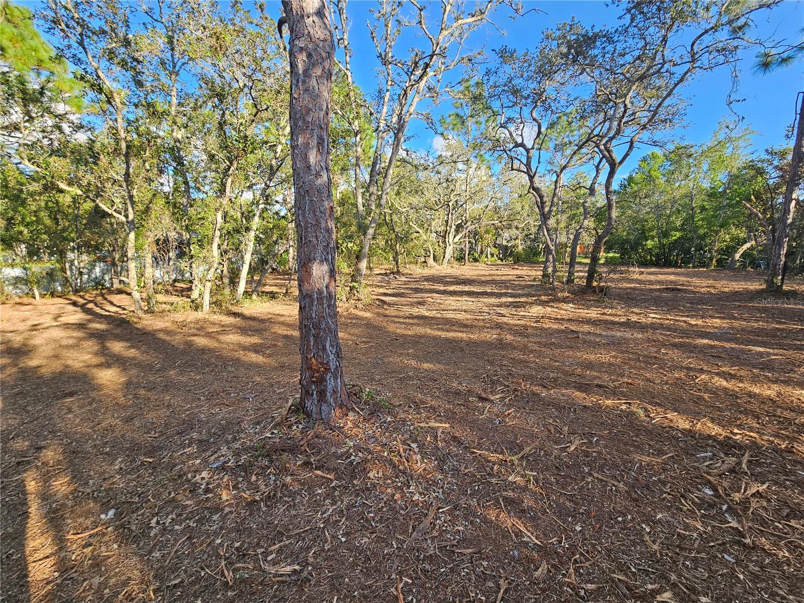 Image 9 of 21 For  Alford Lane 