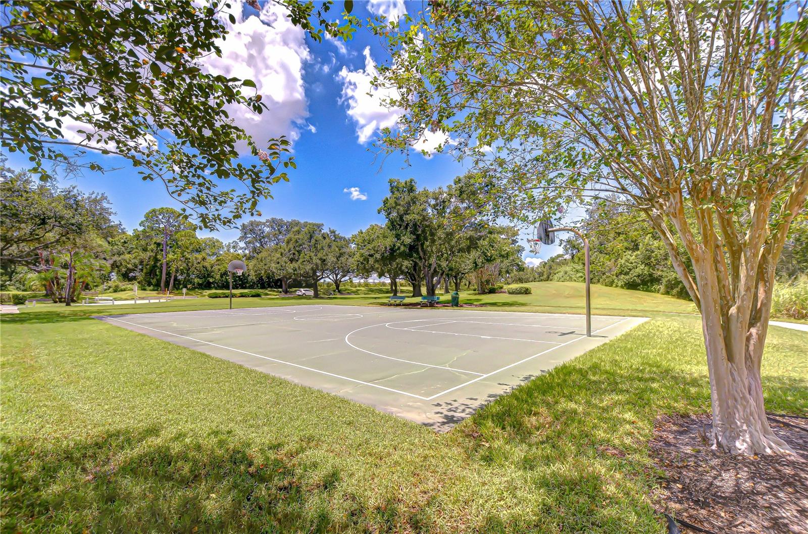 Image 54 of 69 For 13522 Avista Drive