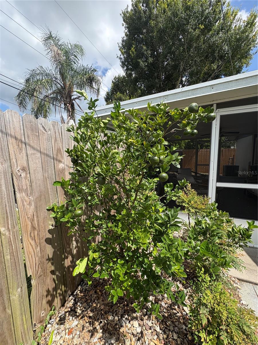 Image 39 of 39 For 5975 69th Avenue N