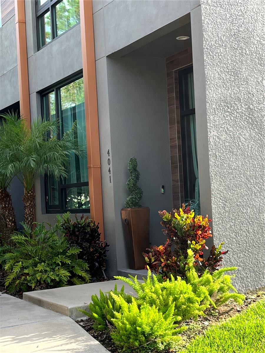 Details for 4041 Gauge Line Loop, TAMPA, FL 33624