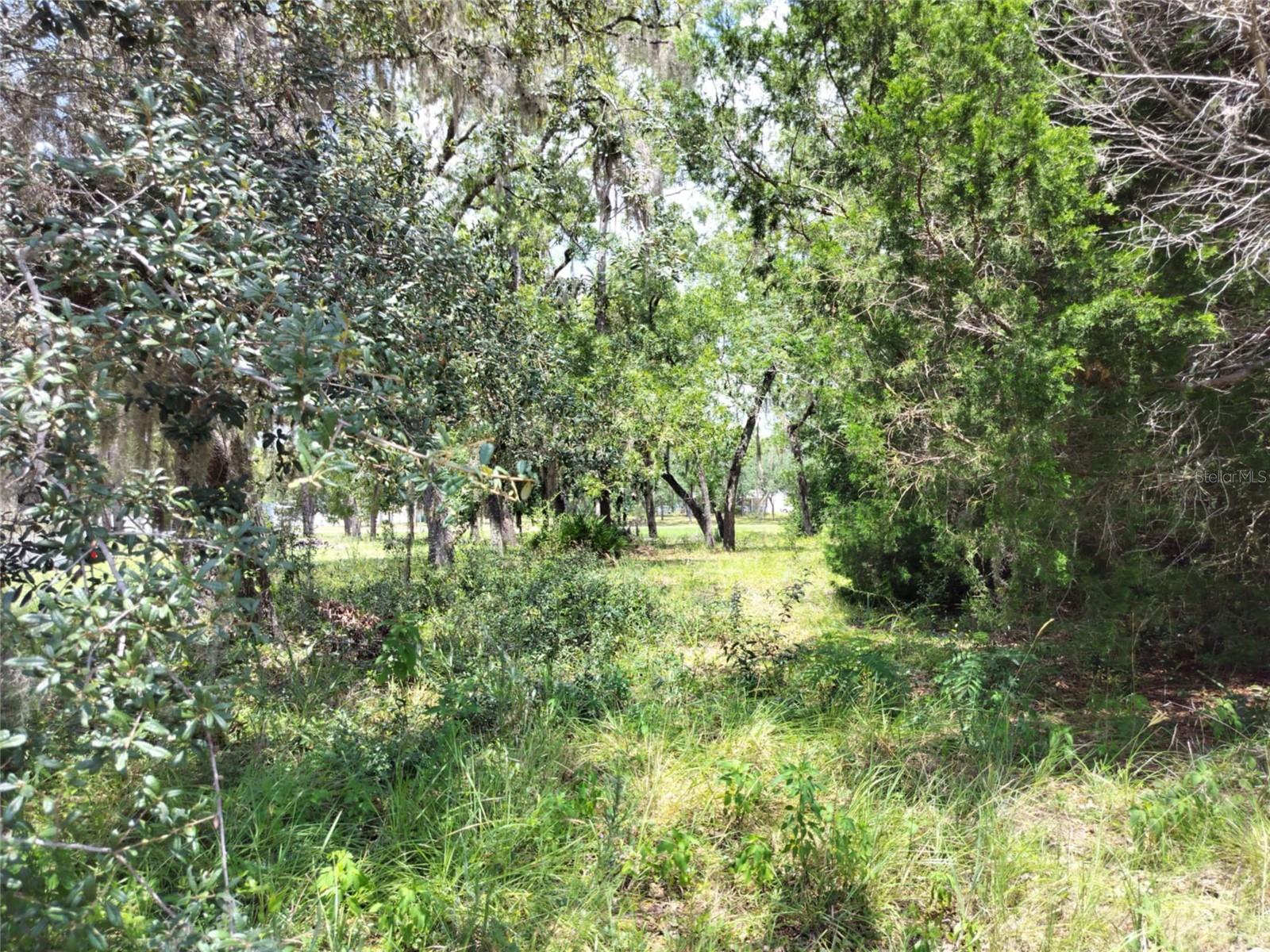 Image 10 of 17 For 7227 Jackson Lane