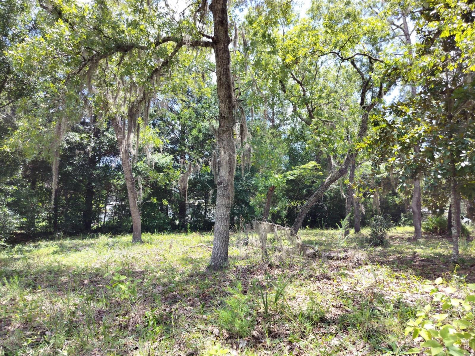Image 11 of 17 For 7227 Jackson Lane