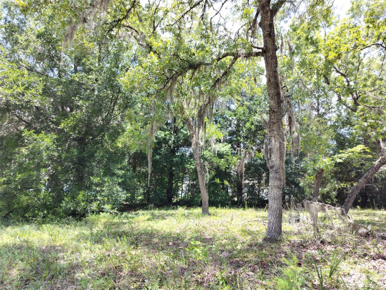 Image 14 of 17 For 7227 Jackson Lane
