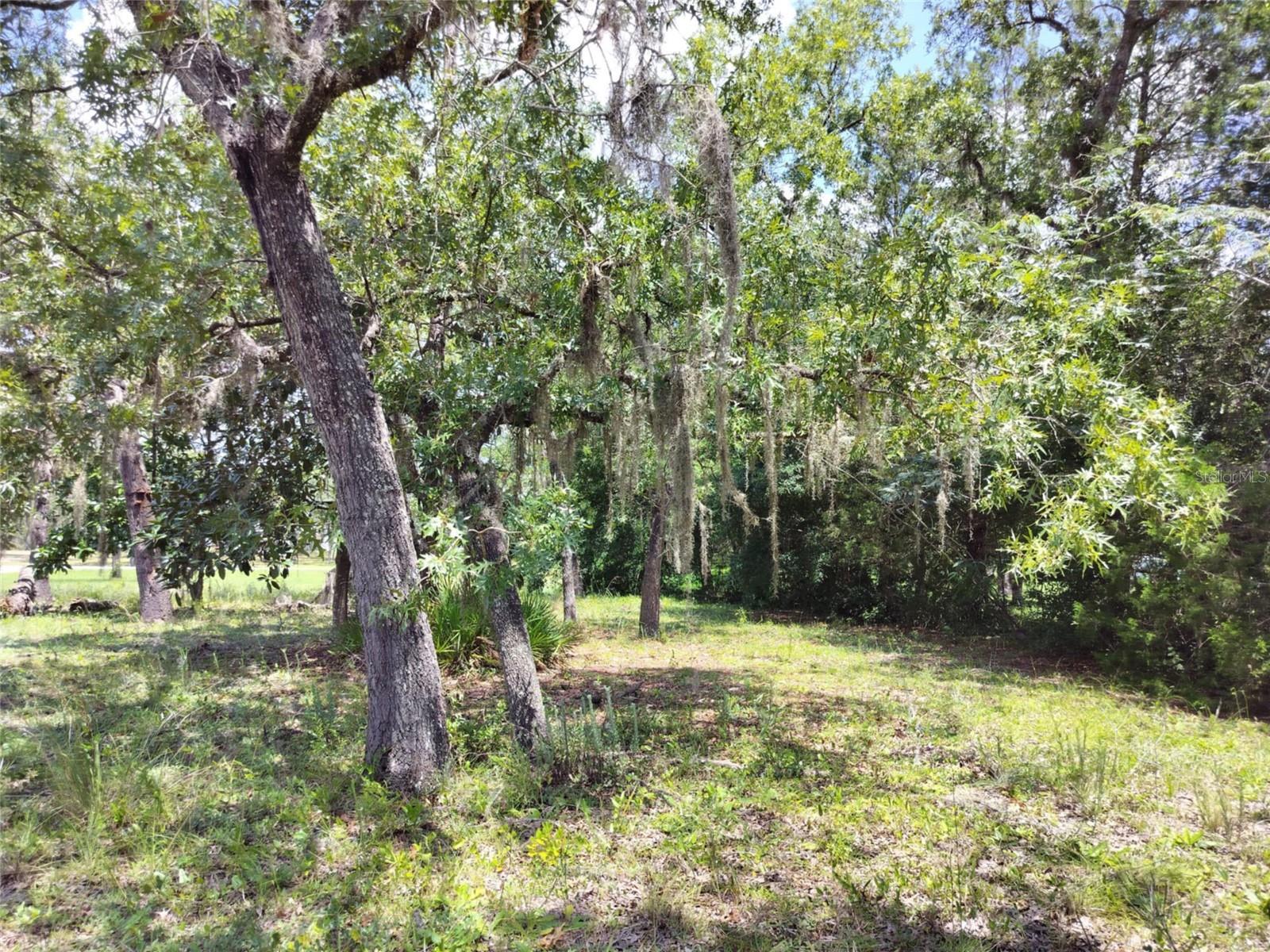 Image 15 of 17 For 7227 Jackson Lane