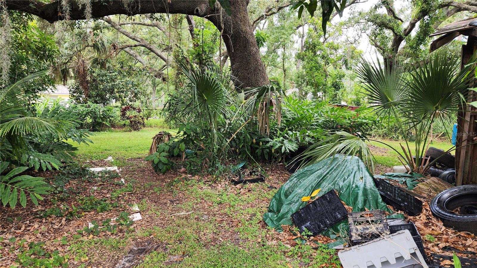 Image 53 of 82 For 110 14th Street Se