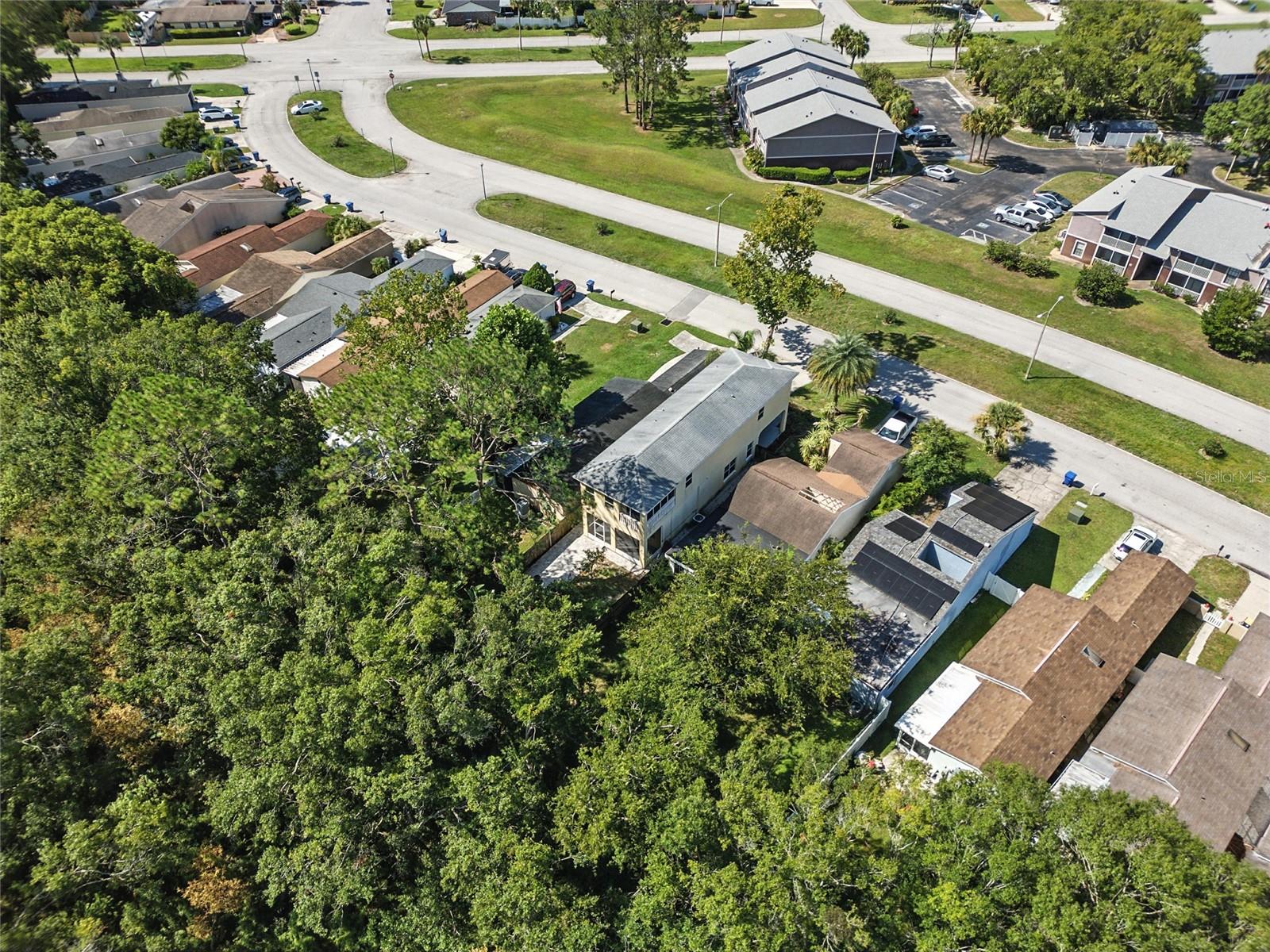 Listing photo id 26 for 4848 Tampa Downs Boulevard