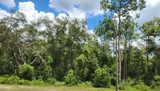 Details for 8256 Treiman Boulevard, WEBSTER, FL 33597
