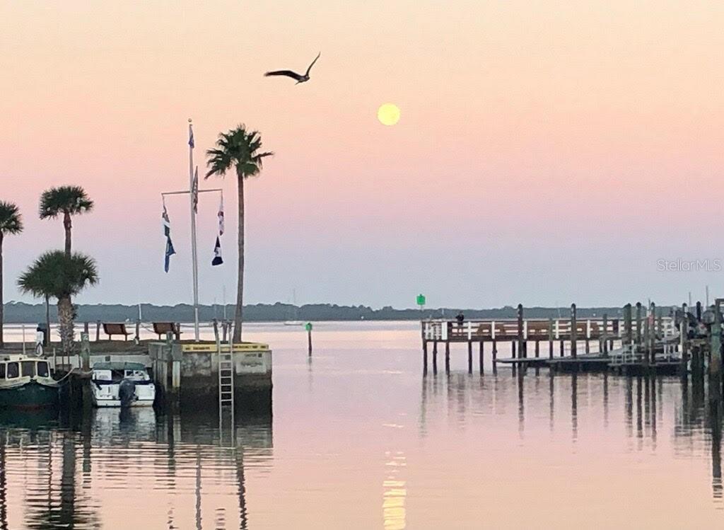 Image 24 of 26 For 2700 Bayshore Boulevard 9106