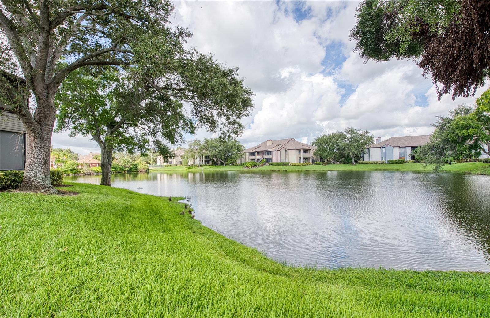 Listing photo id 1 for 10265 Gandy Boulevard N 1103