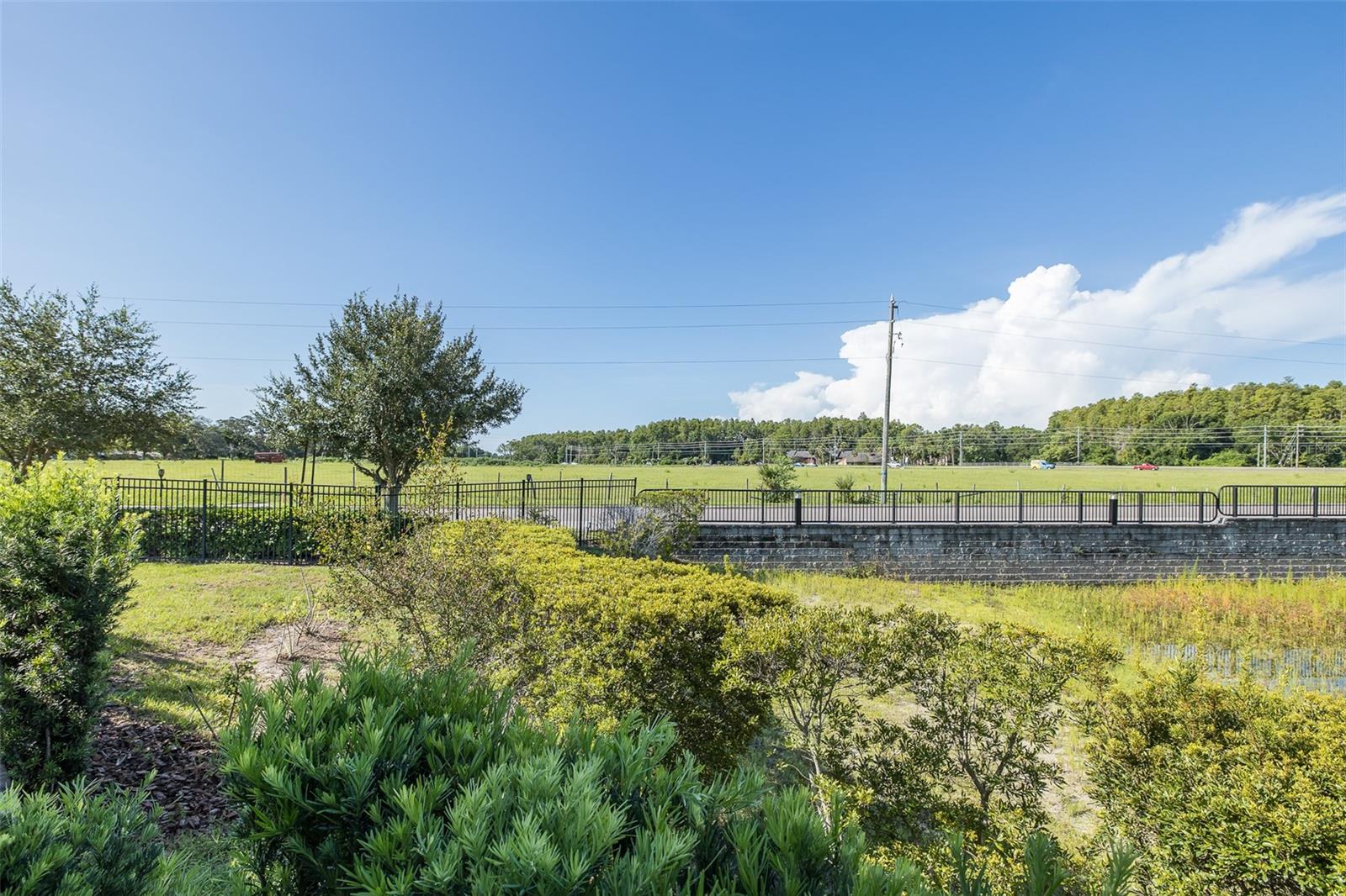 Listing photo id 17 for 5498 Riverwalk Preserve Drive