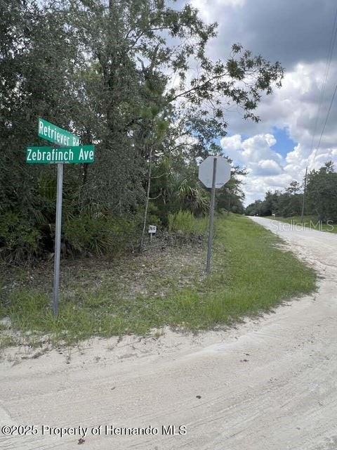 Details for 0 Zebrafinch Avenue, WEEKI WACHEE, FL 34614