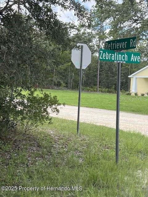 Image 2 of 7 For 0 Zebrafinch Avenue