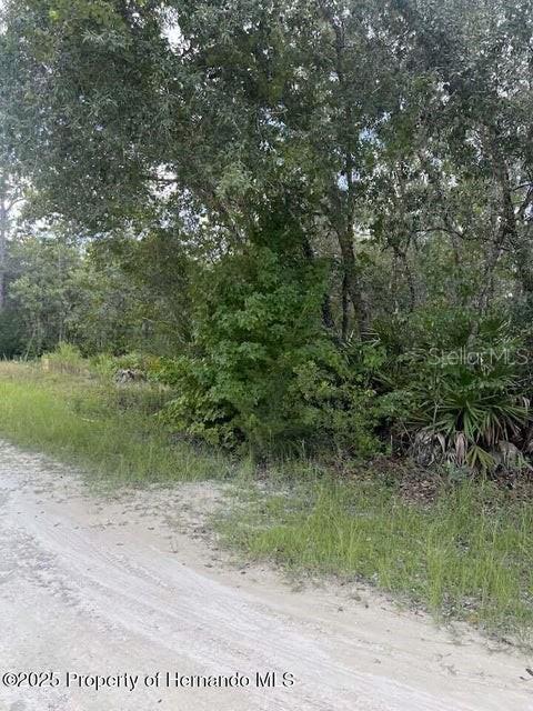 Image 5 of 7 For 0 Zebrafinch Avenue