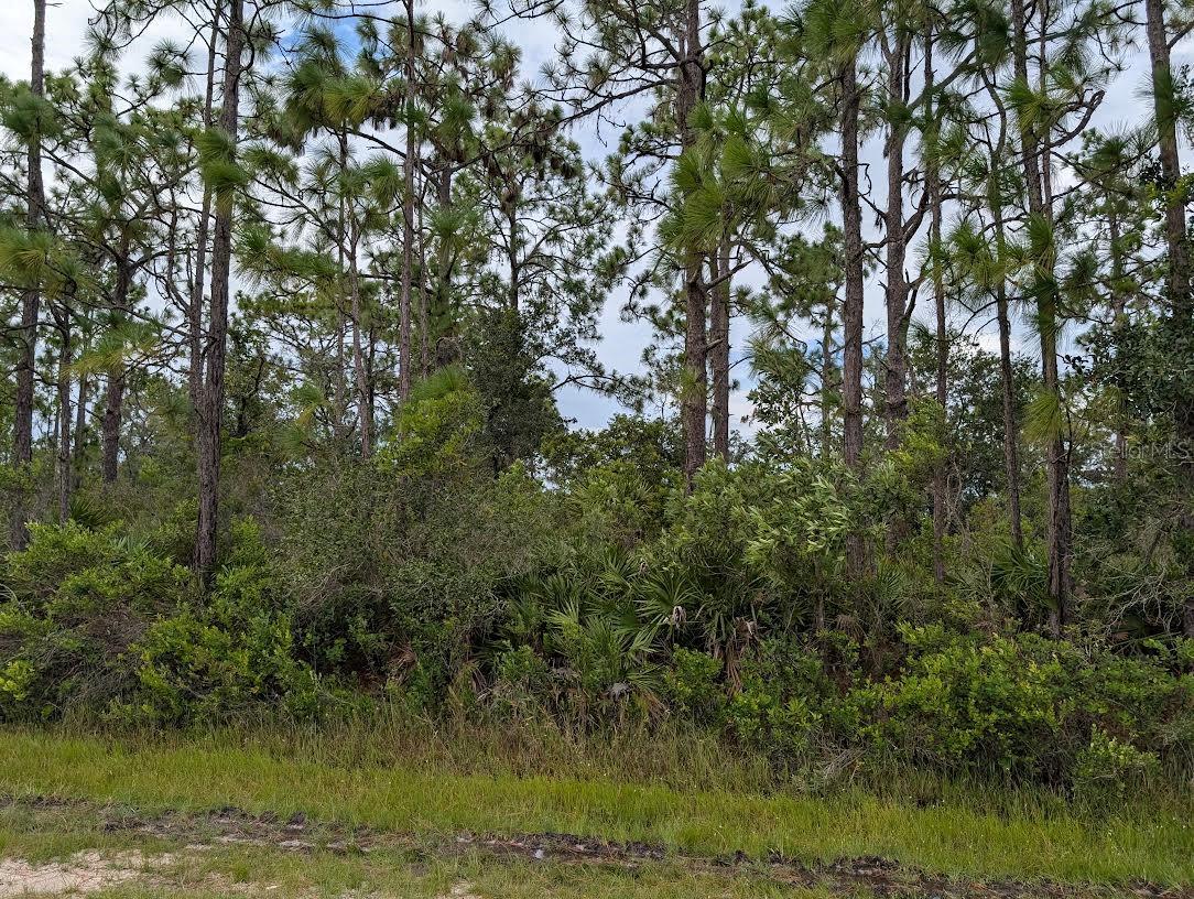 Image 3 of 35 For 408 Azalea Drive