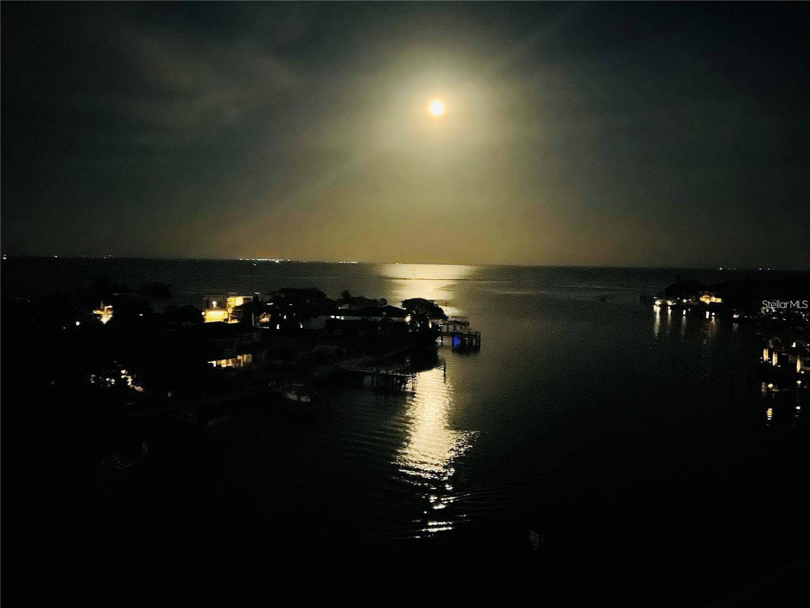 Listing photo id 46 for 1365 Snell Isle Boulevard Ne 8d