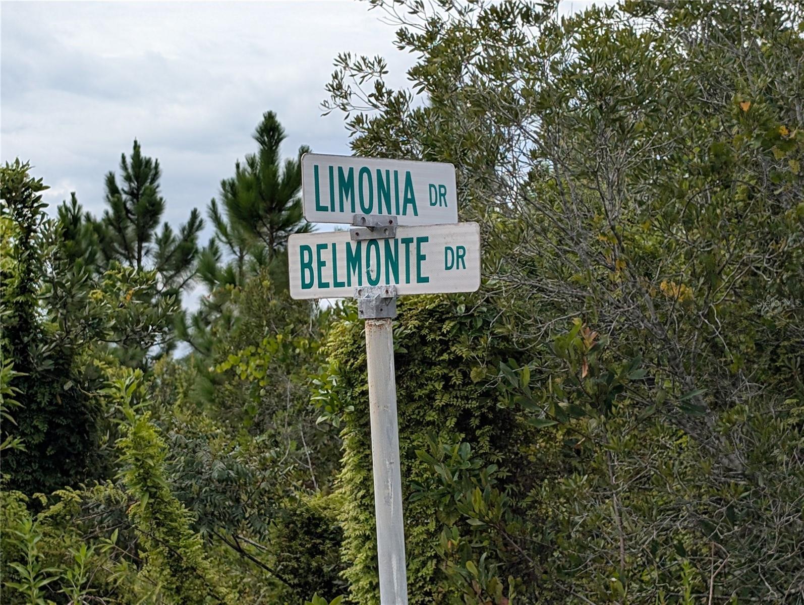 Details for 213 Belmonte Drive, INDIAN LAKE ESTATES, FL 33855