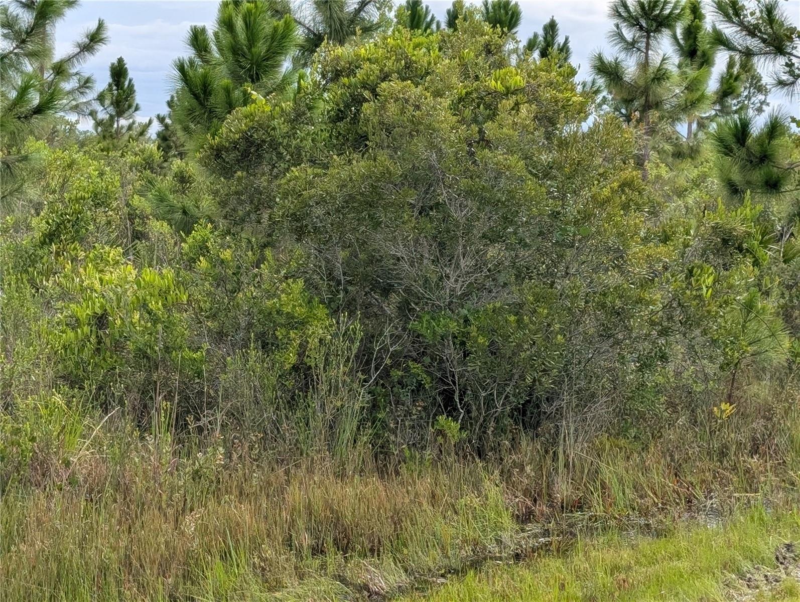 Image 3 of 33 For 213 Belmonte Drive