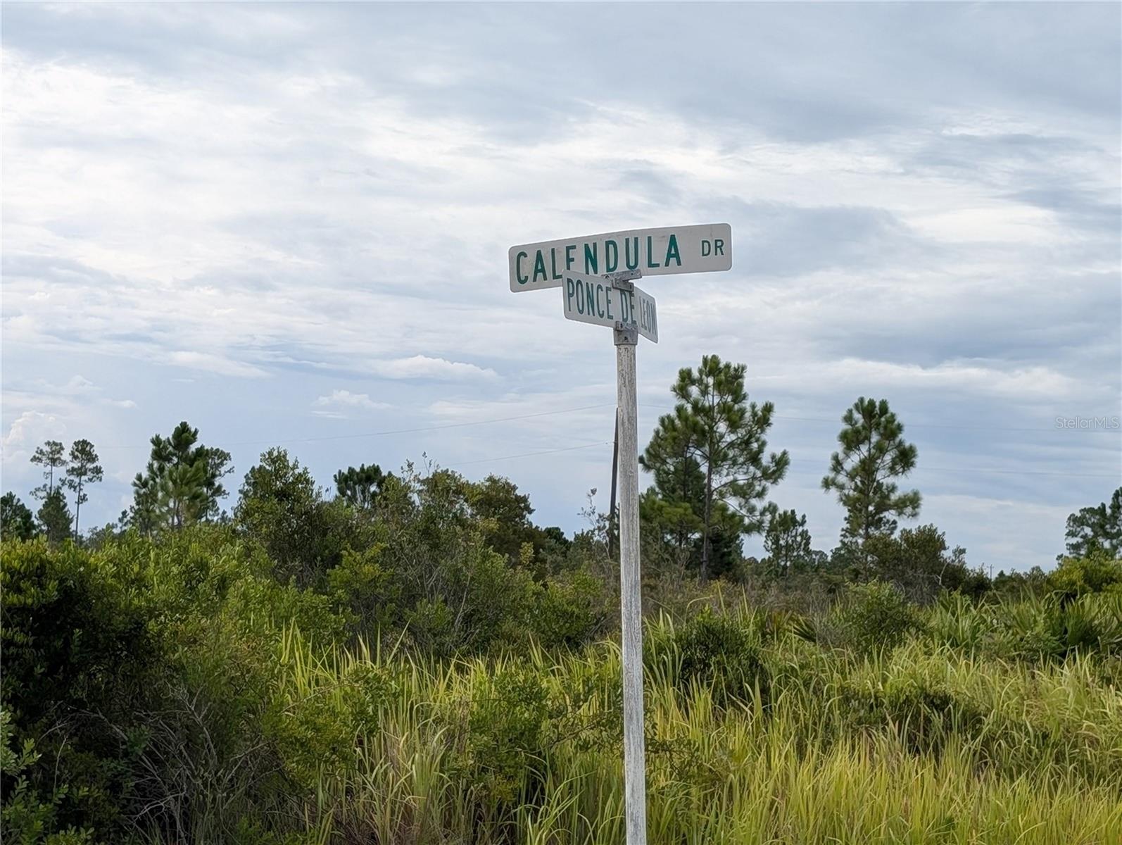 Image 2 of 36 For 511 Calendula Drive