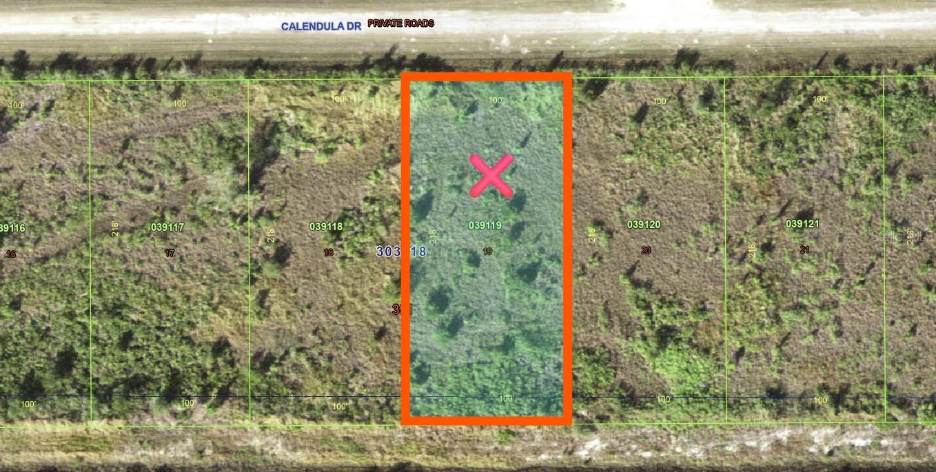 Image 3 of 36 For 511 Calendula Drive