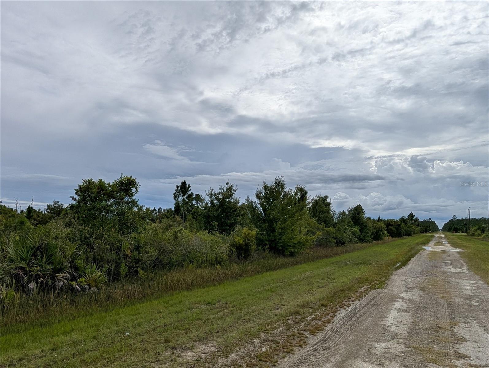 Image 4 of 36 For 511 Calendula Drive