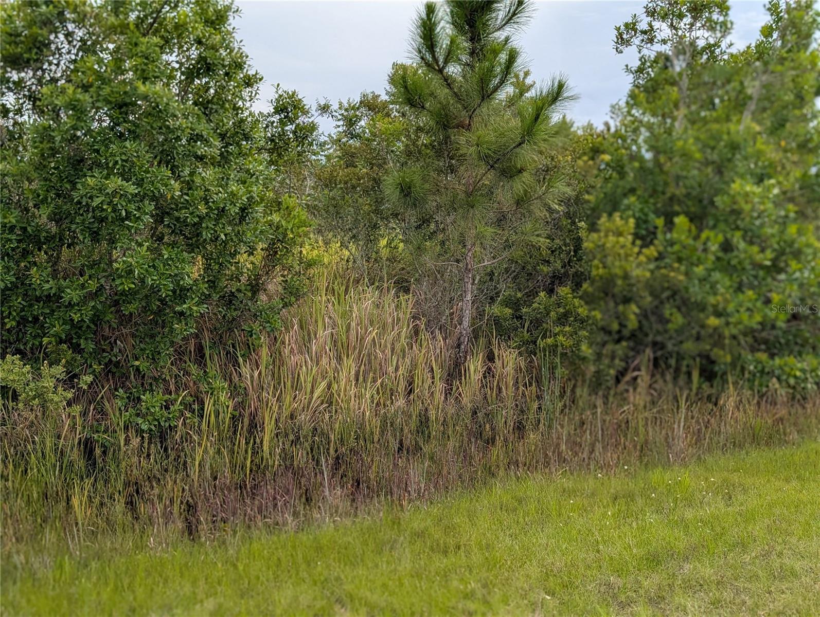 Image 6 of 36 For 511 Calendula Drive