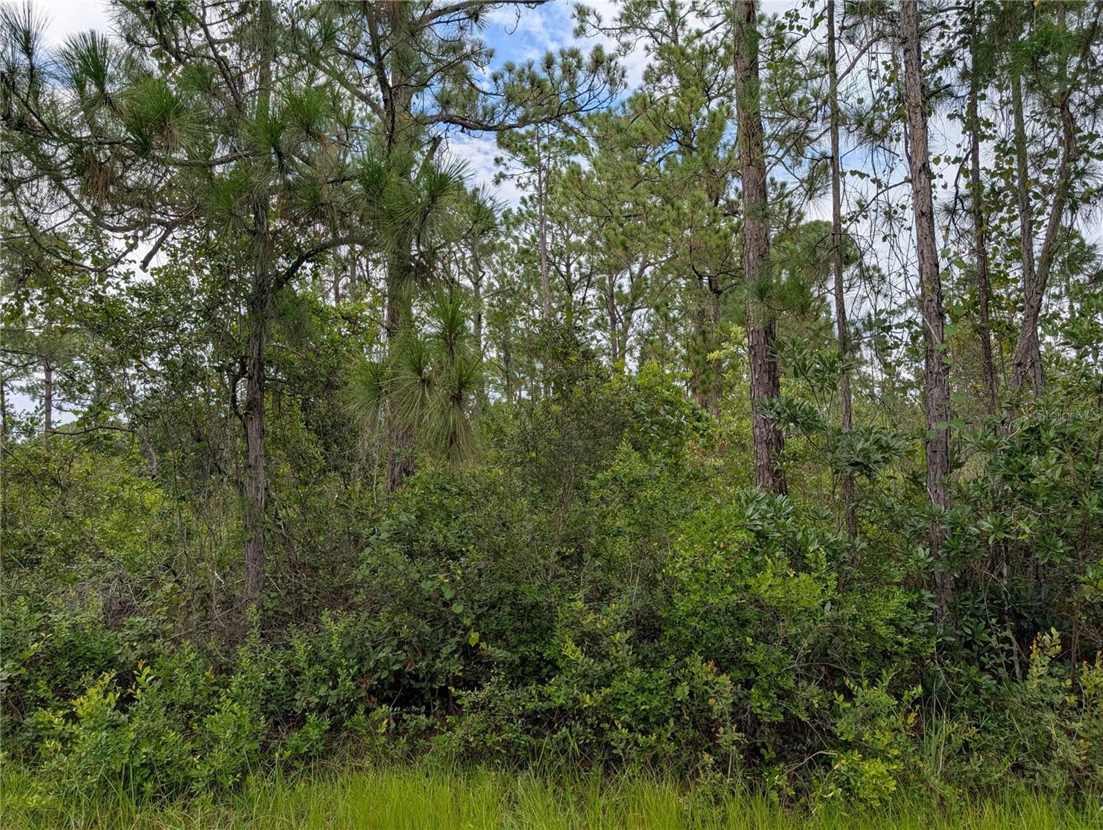 Image 7 of 36 For 511 Calendula Drive