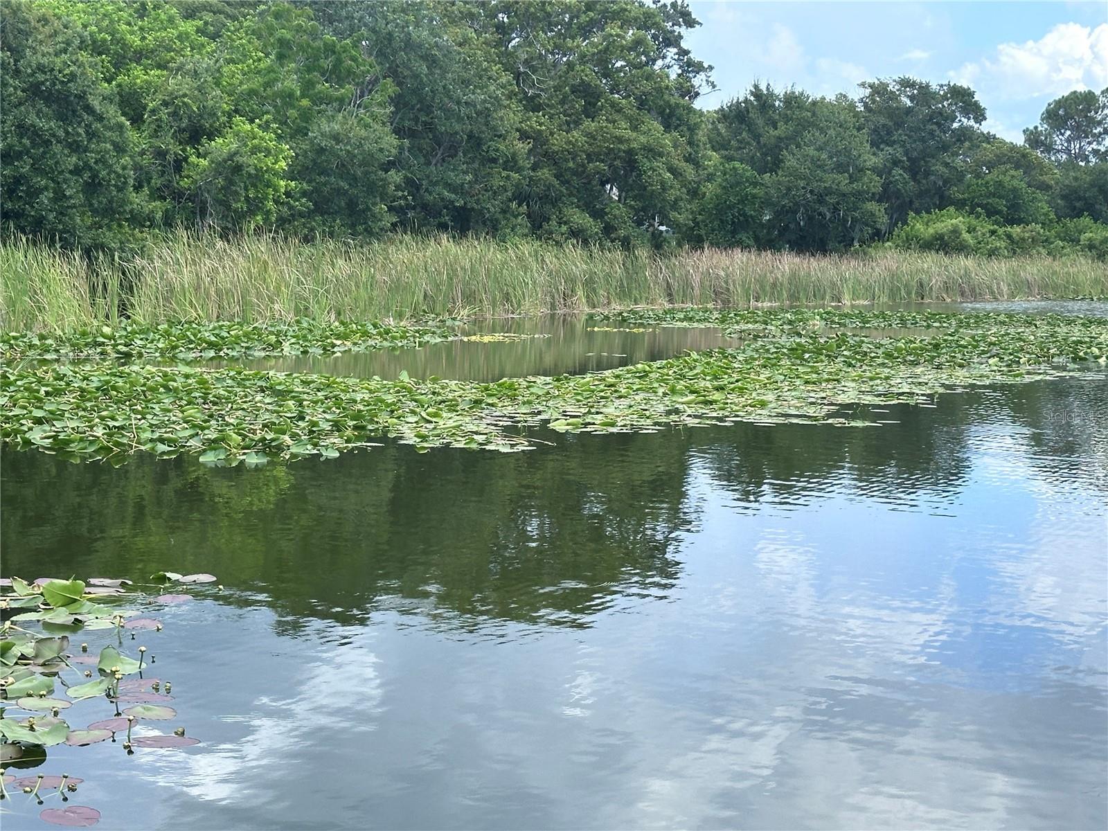 Image 30 of 36 For 3861 Regent Drive