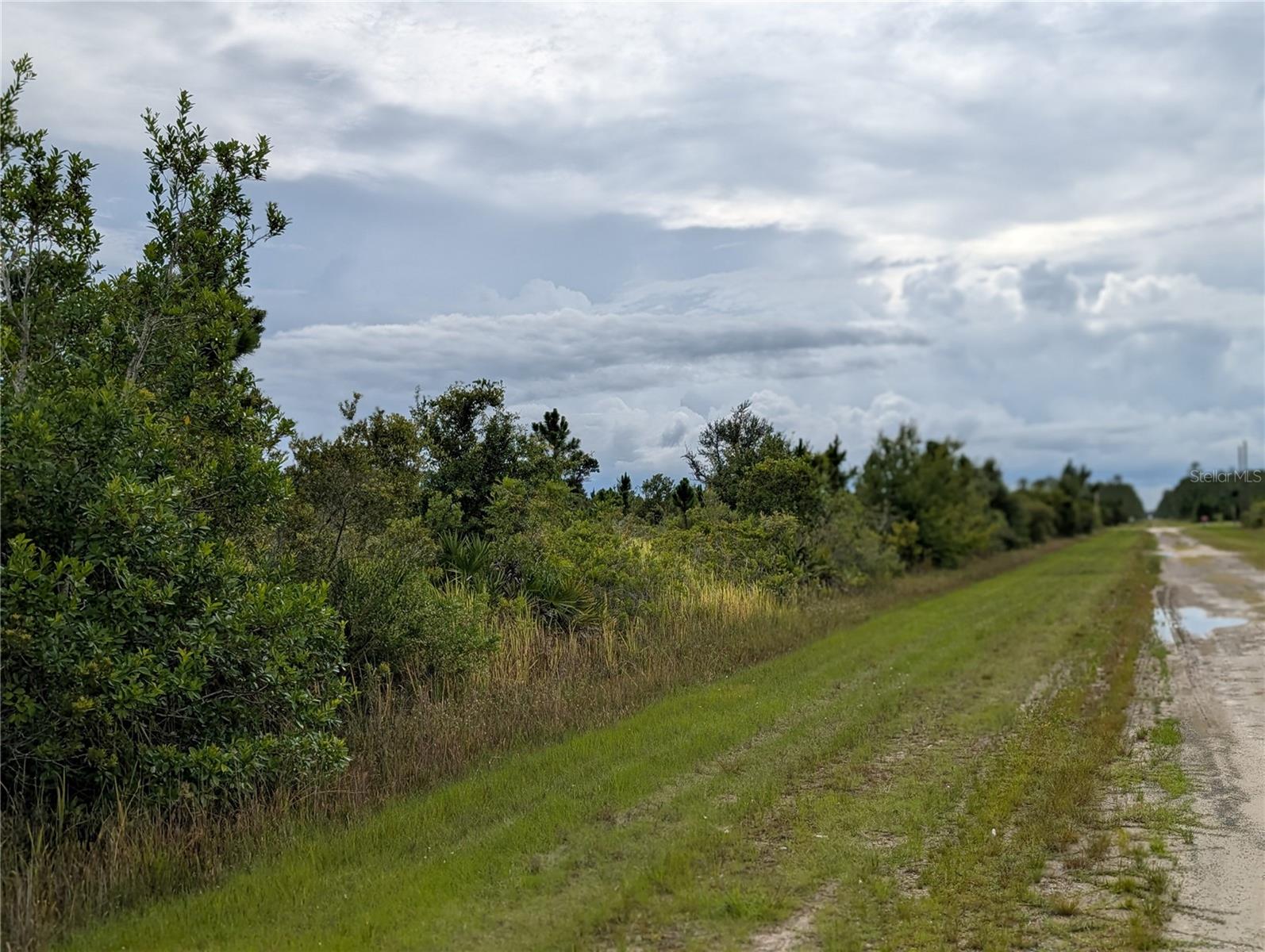 Image 2 of 35 For 513 Calendula Drive