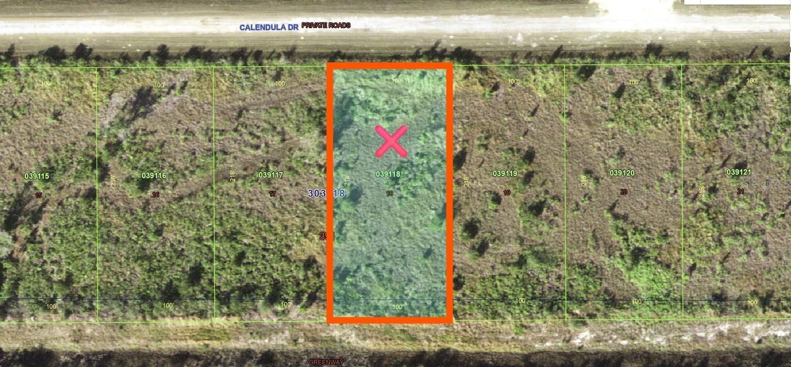 Image 7 of 35 For 513 Calendula Drive