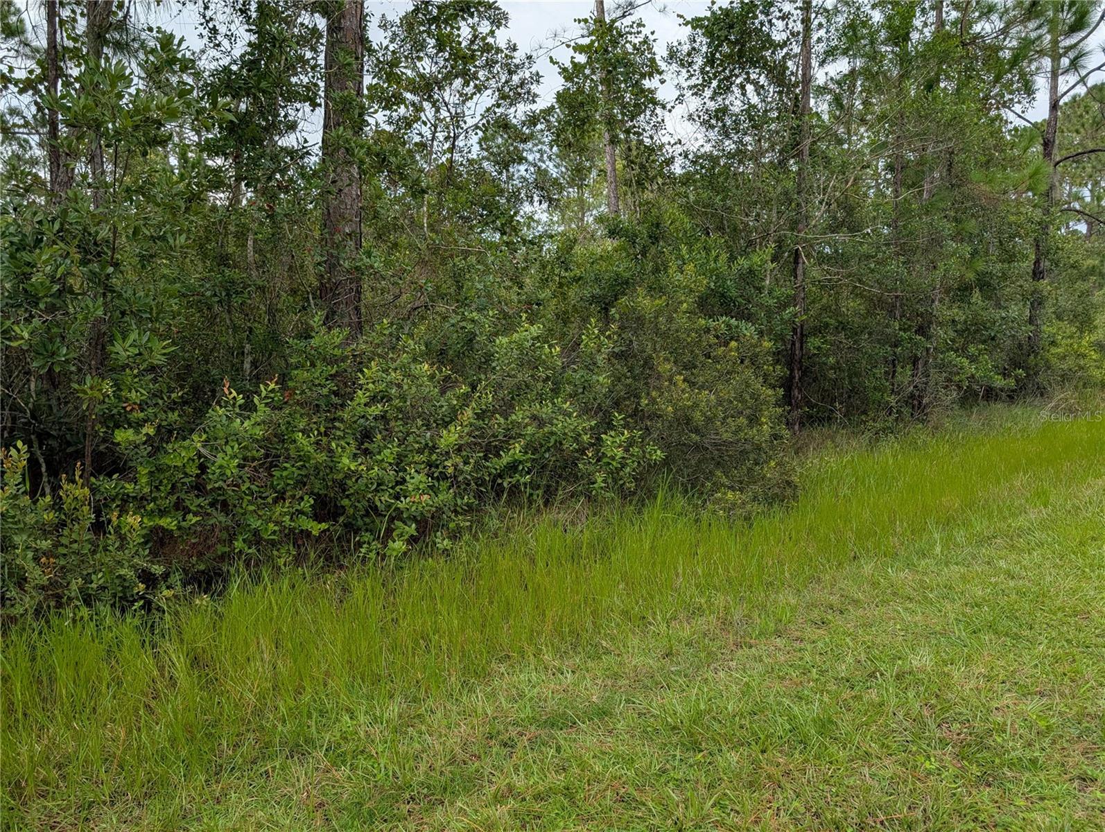 Details for 302 Pandora Drive, INDIAN LAKE ESTATES, FL 33855