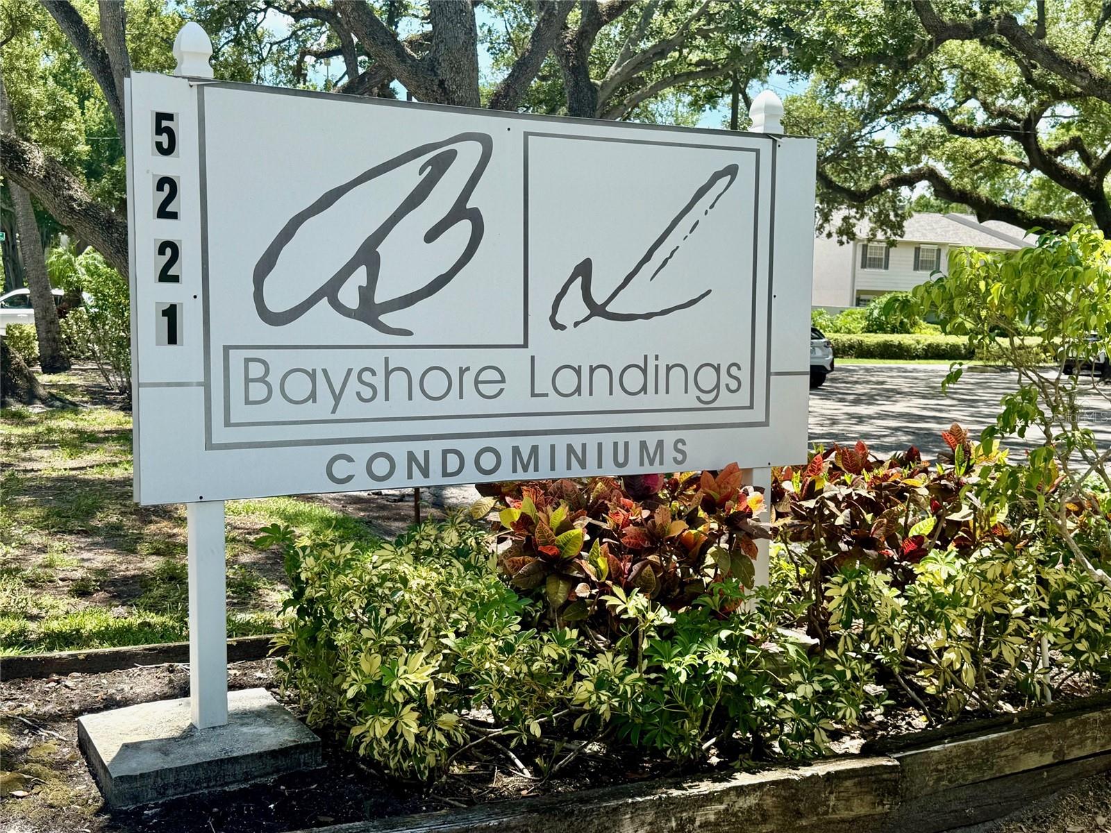 Image 2 of 10 For 5221 Bayshore Boulevard 16