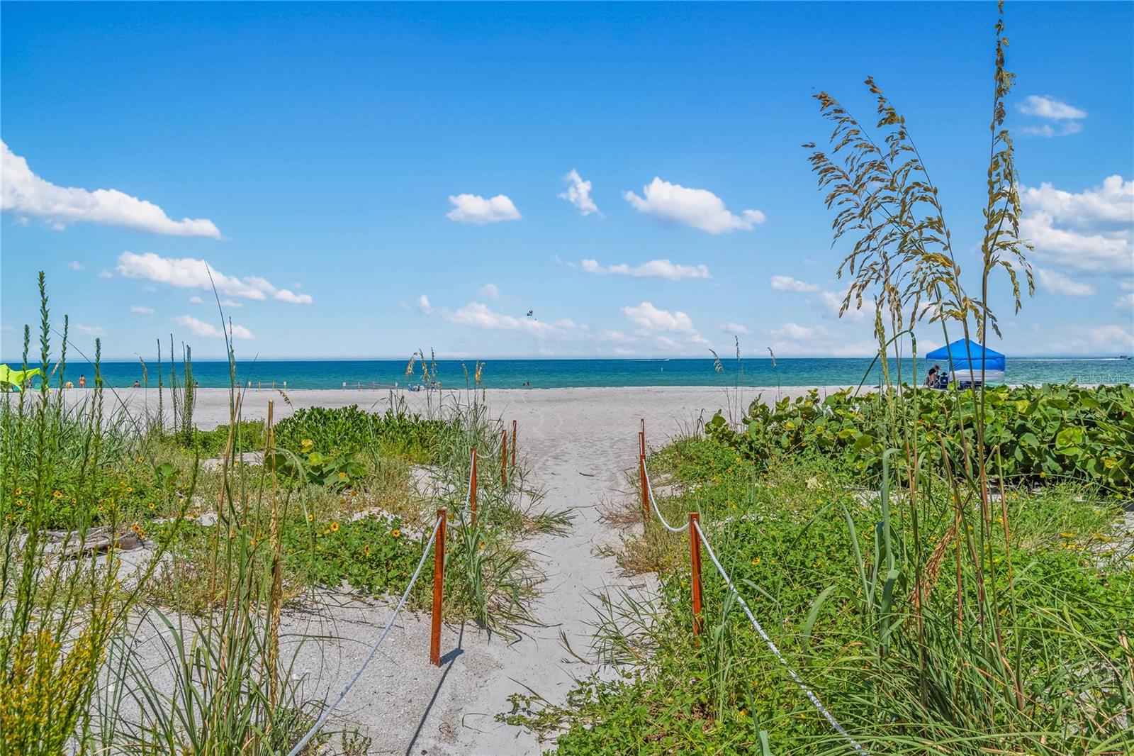 Image 49 of 57 For 1480 Gulf Boulevard 1104