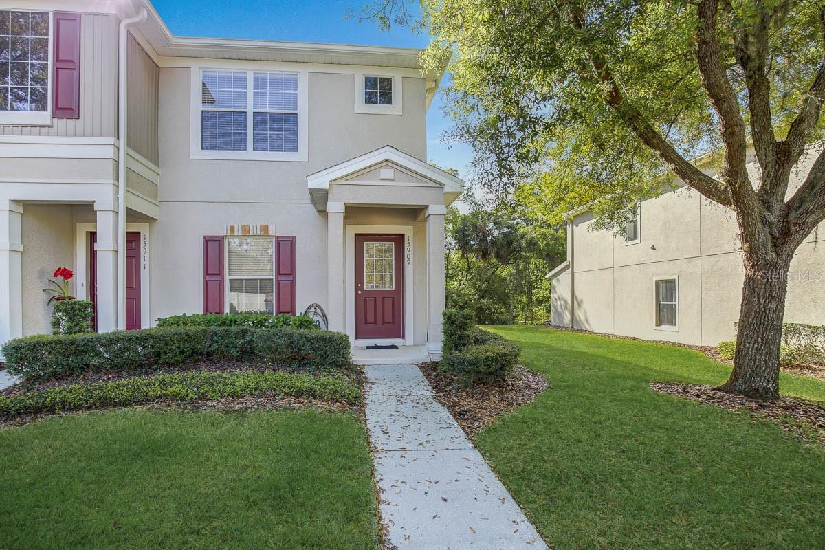 Details for 15909 Fishhawk View Drive, LITHIA, FL 33547