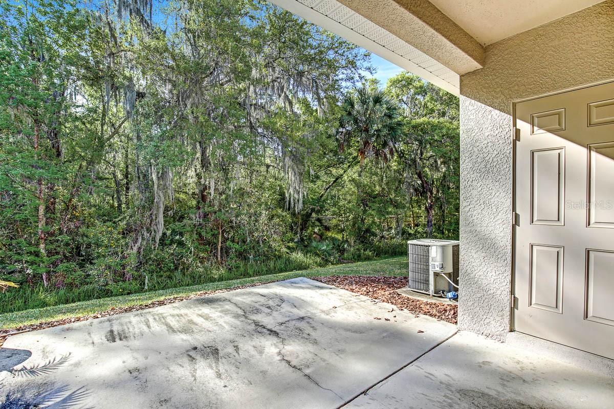 Image 11 of 22 For 15909 Fishhawk View Drive