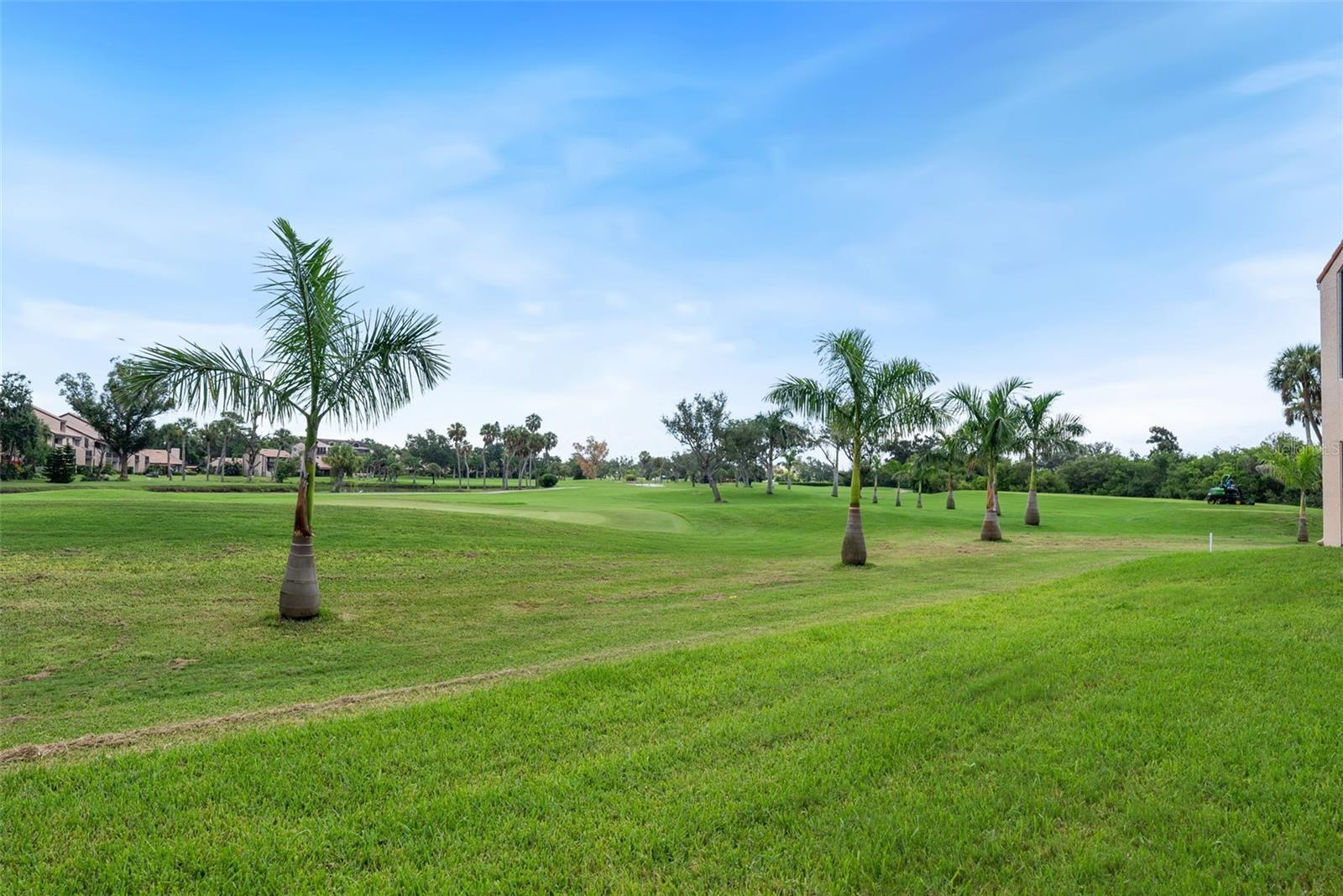 Image 52 of 89 For 1605 Royal Palm Drive S D
