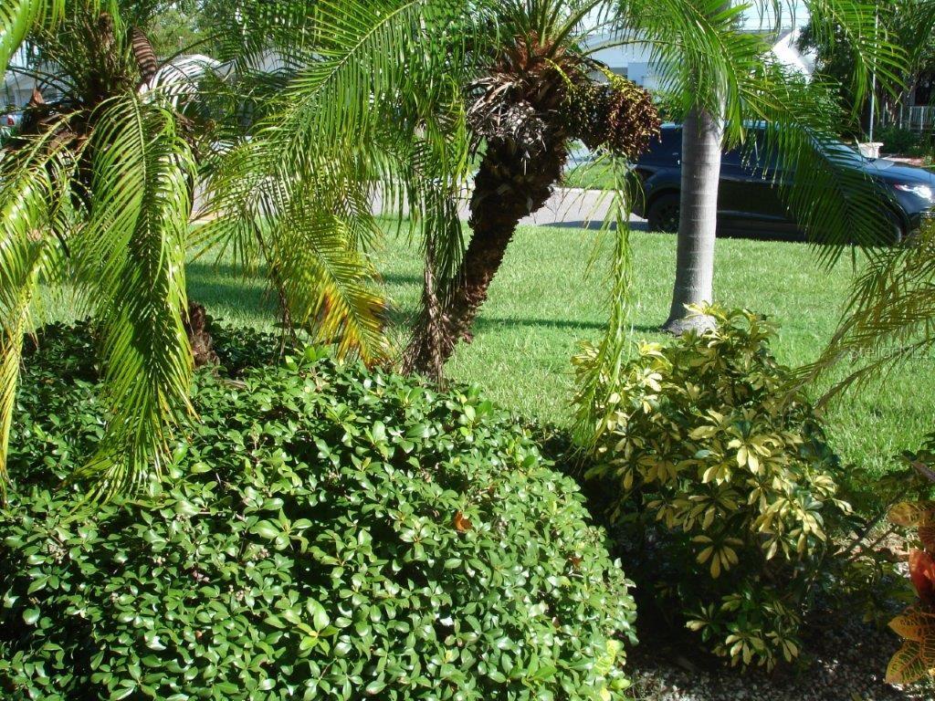 Image 5 of 26 For 5635 20th Avenue N